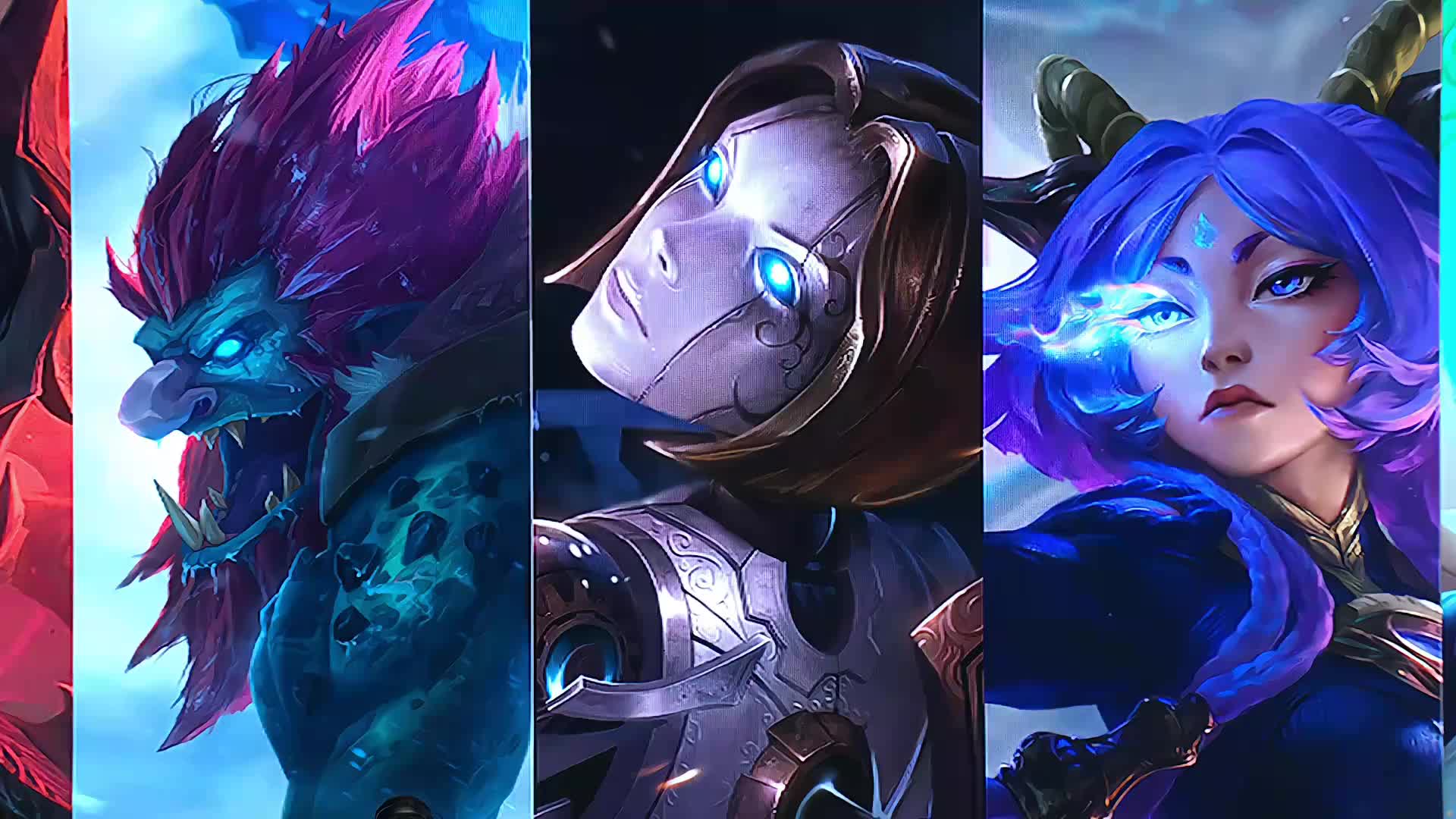 平衡下注频 平衡下注频